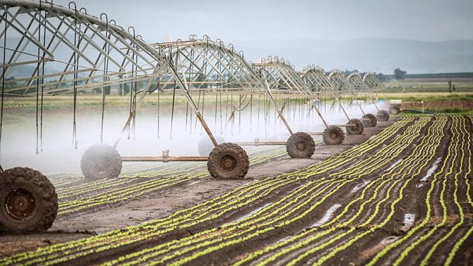 Auf die Landwirtschaft entfallen weltweit über zwei Drittel der Wasserentnahmen.